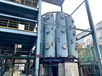 Continuous ion exchange system 